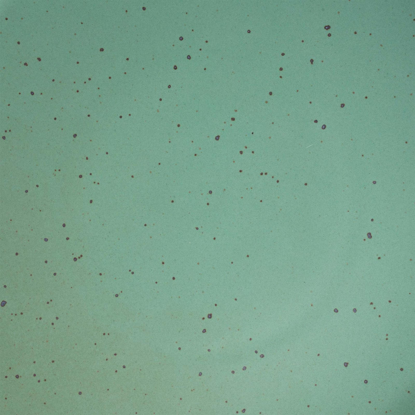 Soup Bowl — Sage Green - Image 3